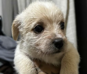 Ekran-Resmi-2026-02-02-20.37.28