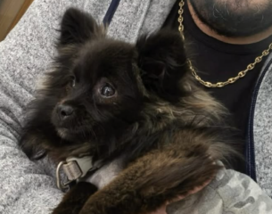 Ekran-Resmi-2026-02-02-20.42.32