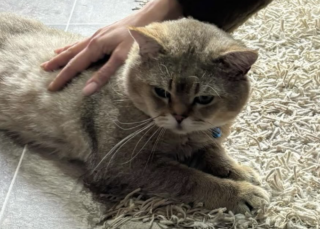 Ekran-Resmi-2026-02-02-21.14.11