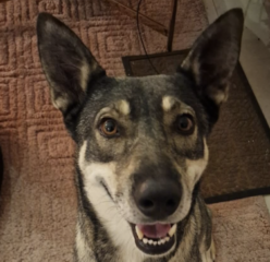 Ekran-Resmi-2026-02-02-21.17.18