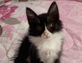 Ekran-Resmi-2026-02-02-21.21.20