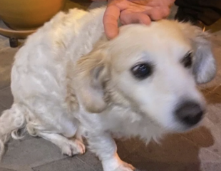 Ekran-Resmi-2026-02-02-21.31.19