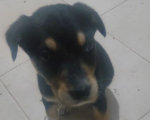 Ekran-Resmi-2026-02-02-21.34.55