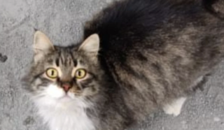 Ekran-Resmi-2026-02-03-12.09.39