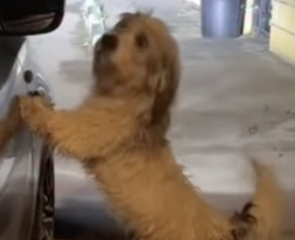 Ekran-Resmi-2026-02-03-15.18.35