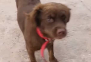 Ekran-Resmi-2026-02-03-15.21.01