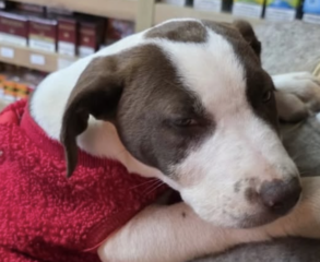 Ekran-Resmi-2026-02-03-15.23.11