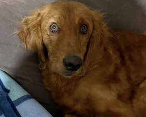 Ekran-Resmi-2026-02-03-15.24.29