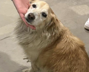 Ekran-Resmi-2026-02-03-15.33.01