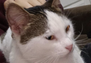 Ekran-Resmi-2026-02-03-15.37.52