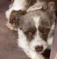 Ekran-Resmi-2026-02-03-15.39.28