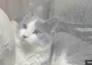 Ekran-Resmi-2026-02-03-15.59.05