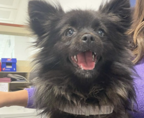 Ekran-Resmi-2026-02-03-16.08.00