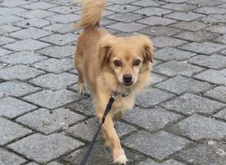 Ekran-Resmi-2026-02-03-16.34.01