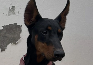 Ekran-Resmi-2026-02-03-16.35.29