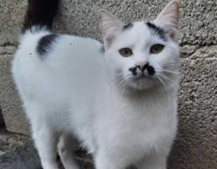 Ekran-Resmi-2026-02-03-16.36.39