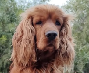 Ekran-Resmi-2026-02-03-16.38.38