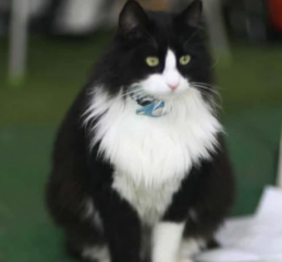 Ekran-Resmi-2026-02-03-17.27.47