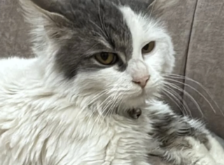 Ekran-Resmi-2026-02-03-17.29.57