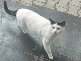 Ekran-Resmi-2026-02-03-17.33.05