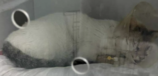 Ekran-Resmi-2026-02-03-17.34.34