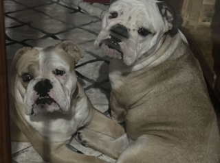 Ekran-Resmi-2026-02-03-17.54.33