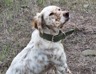 Ekran-Resmi-2026-02-03-17.57.51