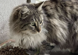 Ekran-Resmi-2026-02-03-18.01.09