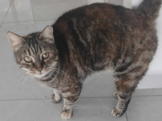 Ekran-Resmi-2026-02-03-18.03.53