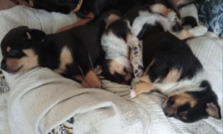 Ekran-Resmi-2026-02-04-11.08.07