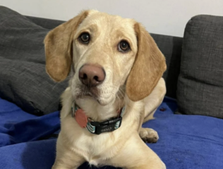 Ekran-Resmi-2026-02-04-11.12.21