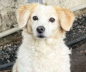 Ekran-Resmi-2026-02-04-11.16.59