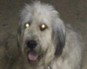 Ekran-Resmi-2026-02-04-11.26.33