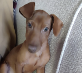 Ekran-Resmi-2026-02-04-11.29.28