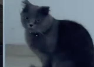 Ekran-Resmi-2026-02-04-11.36.42