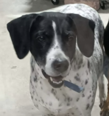 Ekran-Resmi-2026-02-04-11.45.19