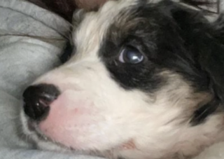 Ekran-Resmi-2026-02-04-11.53.16