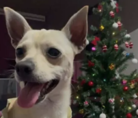 Ekran-Resmi-2026-02-04-11.56.08