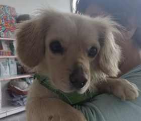 Ekran-Resmi-2026-02-04-12.14.05