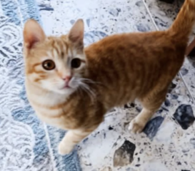 Ekran-Resmi-2026-02-04-12.15.46