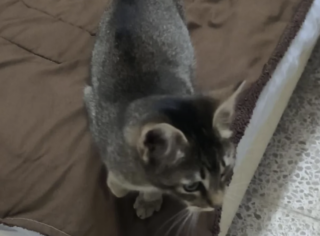 Ekran-Resmi-2026-02-04-12.18.50