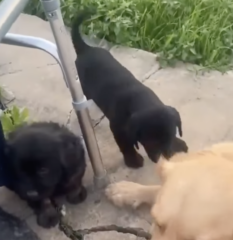 Ekran-Resmi-2026-02-04-12.25.05