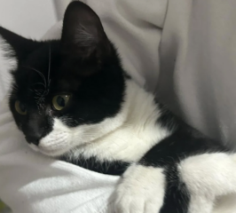 Ekran-Resmi-2026-02-04-12.44.09