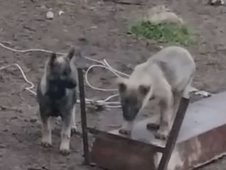 Ekran-Resmi-2026-02-04-13.00.49