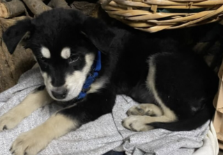 Ekran-Resmi-2026-02-04-13.02.19