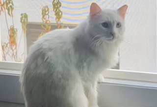 Ekran-Resmi-2026-02-04-13.05.32