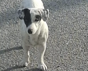 Ekran-Resmi-2026-02-04-13.09.21