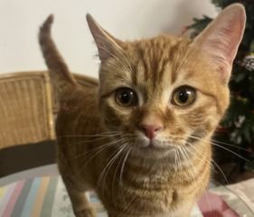 Ekran-Resmi-2026-02-04-13.15.20