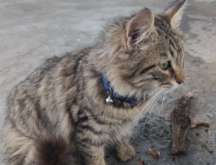 Ekran-Resmi-2026-02-04-13.24.05