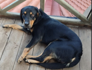 Ekran-Resmi-2026-02-04-13.27.03